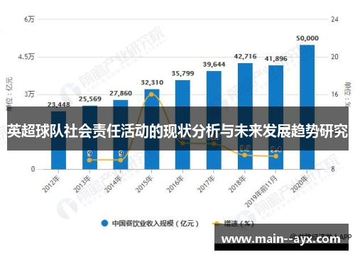 英超球队社会责任活动的现状分析与未来发展趋势研究 英超球队社会责任活动的现状分析与未来发展趋势研究