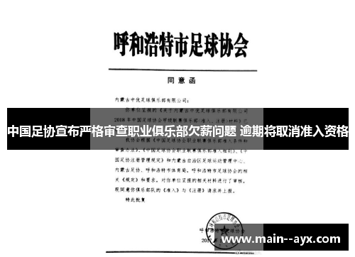 中国足协宣布严格审查职业俱乐部欠薪问题 逾期将取消准入资格